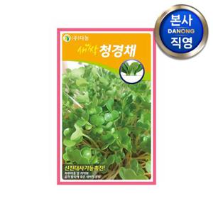 새싹 청경채 씨앗 12g . 무소독 채소 수경 재배 씨 종자.