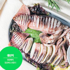 동해안 산지직송 총알 손질 오징어 1kg 한입 통찜 급냉오징어 당일발송