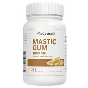 미국제조사 직배송 VitaCosxmoX 비타코스모엑스 매스틱검 매스틱 검 Mastic Gum 1000mg 120캡슐