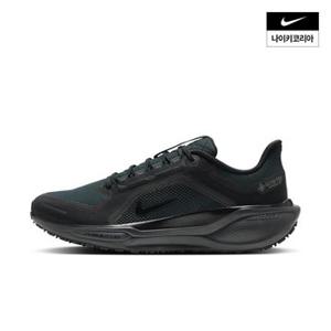 남성 나이키 페가수스 41 GORE-TEX FQ1356-001