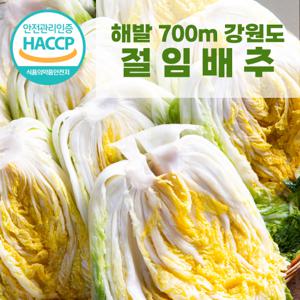 [천상지애] 700m이상 강원도 고랭지 절임배추 20kg[7∼9포기]