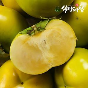 갤러리아_식탐대첩 아삭한 태추단감 2kg 중대과 9-11과