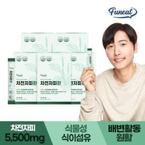 [퍼니트] 식물성 식이섬유 차전자피환 5500mg 30포 x 5박스