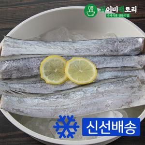 해풍으로 말린 손질한 반건조 국내산 제주갈치 6미 (1미 270g 내외)