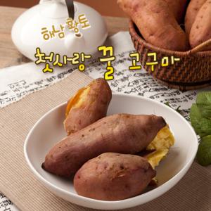 [땅끝] 해남 황토 첫사랑꿀고구마 9kg(각100~300g)