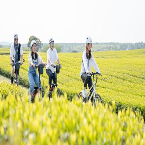 [안덕] 시크릿 자전거 코스, 오설록 차밭 라이딩(종료)