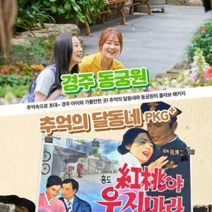 [경주] 경주가볼만한곳! 추억의달동네+동궁원 패키지