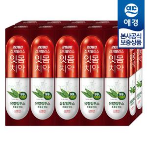 [애경]2080 진지발리스 유칼립투스 치약 150g x10개