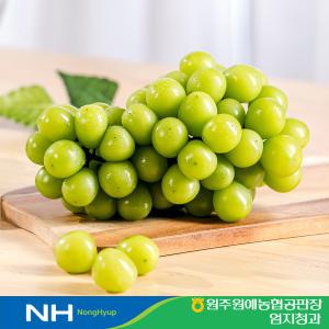 샤인머스켓 2kg 프리미엄 고당도 망고포도