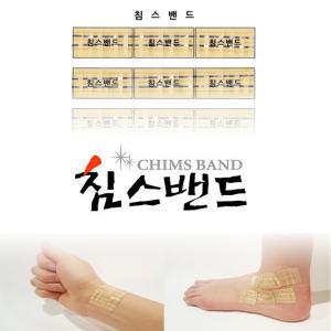 [침스] 침스밴드