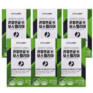 프롬바이오 관절연골 엔 보스웰리아 850mg x 30정 6개