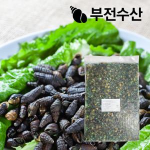 부전수산 냉동 신선한 다슬기살 1kg 올갱이 다슬기국 올갱이국 다슬기된장 다슬기해장국 다슬기전 술안주 원기보충 영양간식