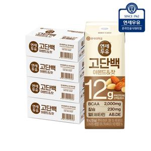 연세두유 프로틴 아몬드 잣 고단백 두유 190ml x 96팩