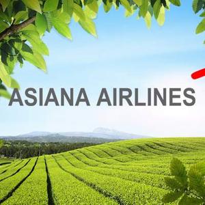 [제주] [김포/광주/청주/대구출발]아시아나 편도 항공권(공항세+유류세포함)
