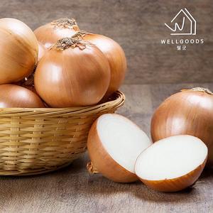[웰굿] 국내산 신선한  속이 꽉 찬 양파 2kg(특)