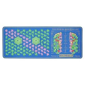 헬스원 웰빙 주방싱크매트 WSM-100A - 발지압매트-W4A86F1