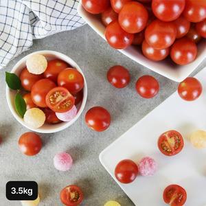 캔디 토마토 3.5kg