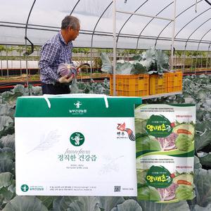 정직한 빨간양배추즙 100ml 50포 적 자색양배추 진액