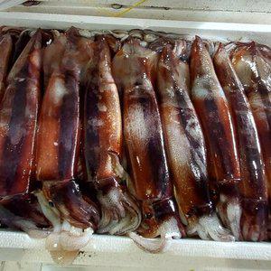 원양산 신선급냉 자연산 통손질 오징어 대 200g x 12미