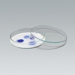 [더원사이언스] 페트리접시(유리)(90mm) KSIC-4137/화학. 유리제품/과학교구
