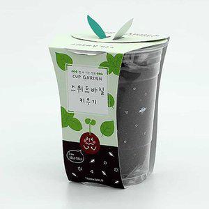 대양 컵가든 스위트바질 씨앗키트 반려식물키우기 컵식물
