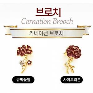 카네이션브로치 용돈봉투