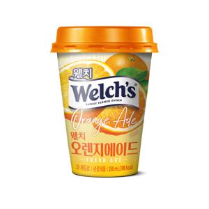 웰치스 오렌지 에이드 250ml 10개입