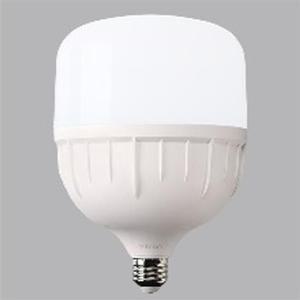 LED 전구 T 벌브 램프 50W 주광색 E26 비츠온