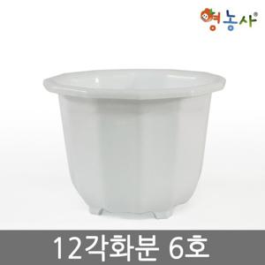 12각화분 6호 / 플라스틱화분 인테리어 분갈이
