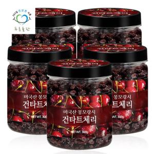 푸른들판 몽모랑시 건타트체리 300gx5통 타르트 체리 건조 과일