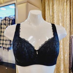 비너스 VGBM529C C컵 D컵 레이스 몰드 보정브라