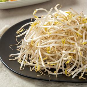 천연암반수로 키운 아삭아삭 숙주나물 4kg