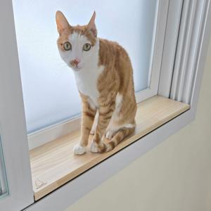 고양이 젤리보호 창틀덮개