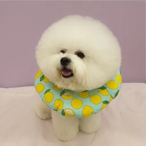 고양이 강아지 넥카라 / 목보호대 넥쿠션 4colors
