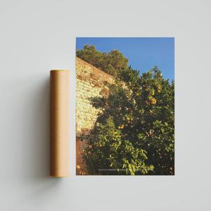 POSTER #5 Call Me by Your Name at Girona 스페인 포스터