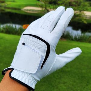 가성비 무지 깔끔한 연습장 필드용 골프장갑
