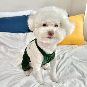 빈티지 코듀로이 꼬마 멜빵 바지 4colors S-2XL 강아지올인원 가을