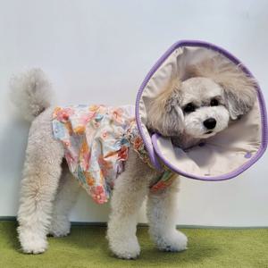 반려동물 강아지 고양이 소프트 경량 쿠션 넥카라
