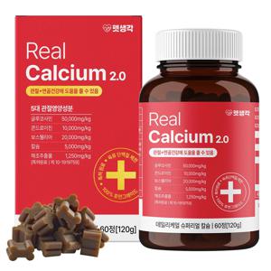 데일리 케얼 리얼 칼슘 강아지 관절 애견 영양제 120g 60정