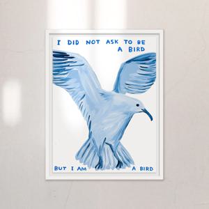 FRAME - I Did Not Ask To Be a Bird / 데이비드 슈리글리