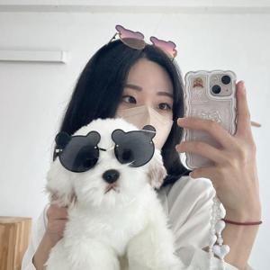 틴트 곰돌이 컬러 패션 선글라스 6color