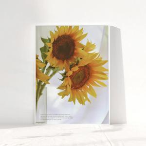 풍수 돈 들어오는 모던 해바라기 그림 액자 포스터 50종 30. 모던_모닝해바라기