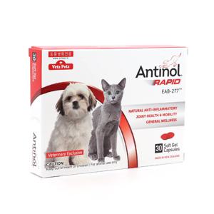 안티놀 래피드 강아지 고양이 관절 슬개골 보조영양제 30정
