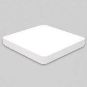 LED방등 심플화이트 50W