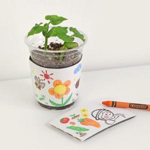 강낭콩 키우기 컵파머 씨앗 재배세트 DIY 키트