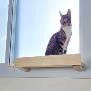 고양이 젤리보호 창틀덮개 확장 kit