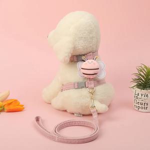 강아지 산책 꿀벌 하네스 리드줄 세트 부드러운 고밀도골덴 목줄 산책줄