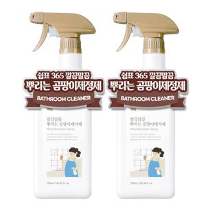 1+1 깔끔말끔 뿌리는 곰팡이제거제 750ml 욕실 화장실 벽 창틀 청소세제