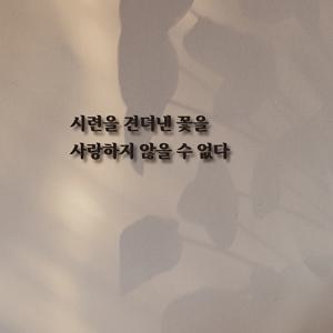 심플릭 시련을 견뎌낸 꽃을, 회사 매장 명언 입체글자