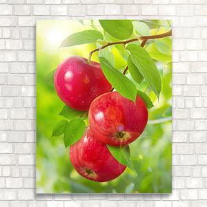 풍수 no9_ 자연속 홍사과 그림 3과실 캔버스액자 금전운 결실을 주는 인테리어액자